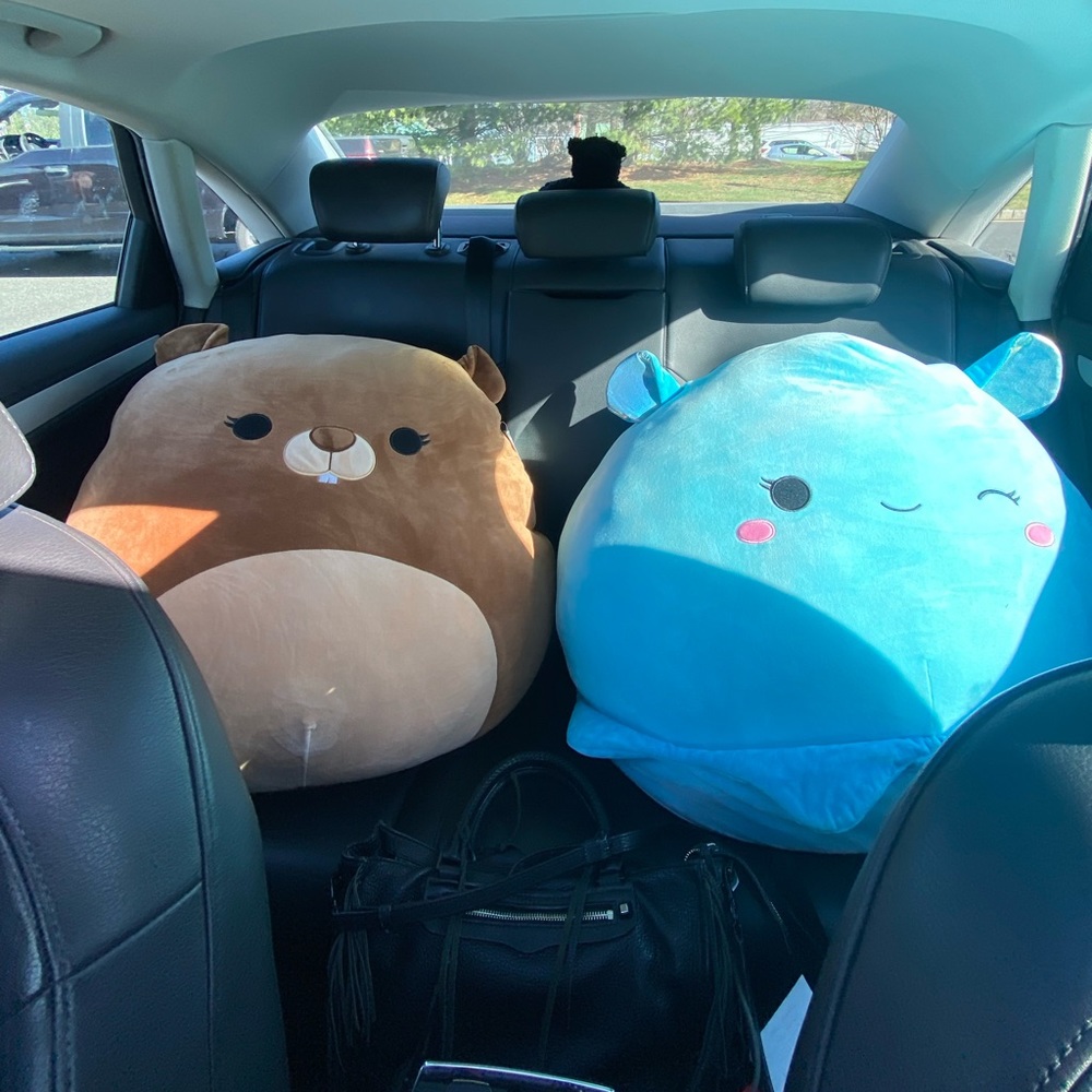 ONLY 1 LEFT! NWT JUMBO GARDENIA THE SQUISHMALLOW 24” 🤎💙